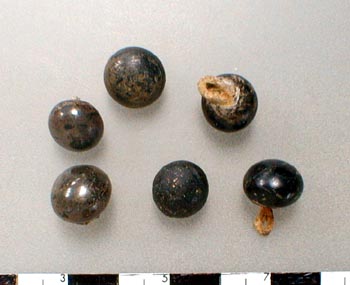 [44PG302/ÉÚ~1 Glás~s Béá~ds 523]