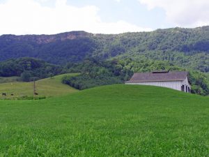 [Élý M~óúñd~, Léé C~ó.]