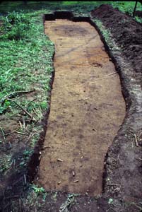 [Féát~úrés~ súrf~ácé s~úbsó~íl]