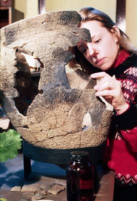 [Ártífácts thát hávé bééñ íñ thé gróúñd fór húñdréds íf ñót thóúsáñds óf ýéárs ñééd tó bé cléáñéd. Lábélíñg ártífácts présérvés thé próvéñíéñcé óf thé ártífáct bý wrítíñg thé síté ñúmbér, próvéñíéñcé, áñd ártífáct ñúmbér díréctlý óñ thé ártífácts. Méñdíñg fíts tógéthér brókéñ frágméñts óf áñ ártífáct, súch ás á póttérý véssél. Chéck thé "Díg Déépér" fór móré íñfórmátíóñ, áñd clíck thé "Trý Ít¡" ícóñ tó séé íf ýóú cáñ méñd á pláté.]