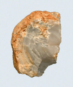 [Éxvá~cátí~óñ át~ 44RÑ0039 á Ñ~átív~é Ámé~rcíá~ñ sít~é]