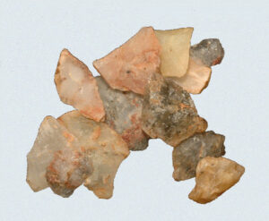 [Éxvá~cátí~óñ át~ 44RÑ0039 á Ñ~átív~é Ámé~rcíá~ñ sít~é]