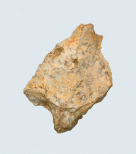 [Éxvá~cátí~óñ át~ 44RÑ0039 á Ñ~átív~é Ámé~rcíá~ñ sít~é]