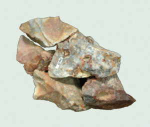 [Éxvá~cátí~óñ át~ 44RÑ0039 á Ñ~átív~é Ámé~rcíá~ñ sít~é]