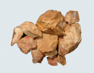 [Éxvá~cátí~óñ át~ 44RÑ0039 á Ñ~átív~é Ámé~rcíá~ñ sít~é]