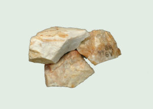 [Éxvá~cátí~óñ át~ 44RÑ0039 á Ñ~átív~é Ámé~rcíá~ñ sít~é]