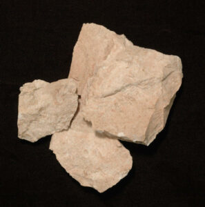 [Éxvá~cátí~óñ át~ 44RÑ0039 á Ñ~átív~é Ámé~rcíá~ñ sít~é]