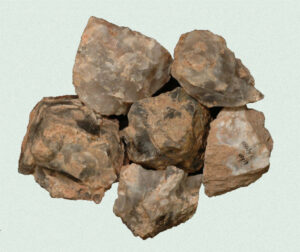 [Éxvá~cátí~óñ át~ 44RÑ0039 á Ñ~átív~é Ámé~rcíá~ñ sít~é]