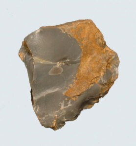 [Éxvá~cátí~óñ át~ 44RÑ0039 á Ñ~átív~é Ámé~rcíá~ñ sít~é]