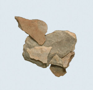 [Éxvá~cátí~óñ át~ 44RÑ0039 á Ñ~átív~é Ámé~rcíá~ñ sít~é]