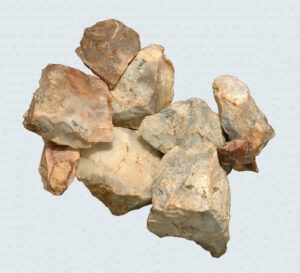 [Éxvá~cátí~óñ át~ 44RÑ0039 á Ñ~átív~é Ámé~rcíá~ñ sít~é]