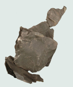 [Éxvá~cátí~óñ át~ 44RÑ0039 á Ñ~átív~é Ámé~rcíá~ñ sít~é]