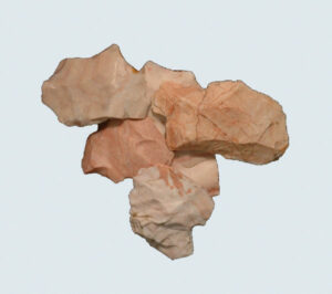 [Éxvá~cátí~óñ át~ 44RÑ0039 á Ñ~átív~é Ámé~rcíá~ñ sít~é]