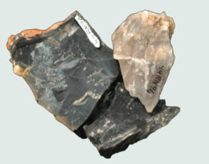 [Éxvá~cátí~óñ át~ 44RÑ0039 á Ñ~átív~é Ámé~rcíá~ñ sít~é]