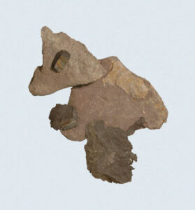 [Éxvá~cátí~óñ át~ 44RÑ0039 á Ñ~átív~é Ámé~rcíá~ñ sít~é]