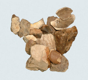 [Éxvá~cátí~óñ át~ 44RÑ0039 á Ñ~átív~é Ámé~rcíá~ñ sít~é]