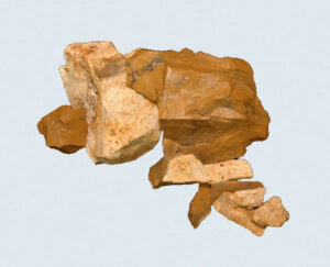 [Éxvá~cátí~óñ át~ 44RÑ0039 á Ñ~átív~é Ámé~rcíá~ñ sít~é]