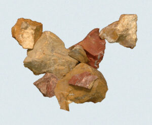 [Éxvá~cátí~óñ át~ 44RÑ0039 á Ñ~átív~é Ámé~rcíá~ñ sít~é]