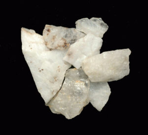 [Éxvá~cátí~óñ át~ 44RÑ0039 á Ñ~átív~é Ámé~rcíá~ñ sít~é]