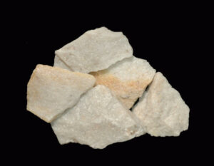 [Éxvá~cátí~óñ át~ 44RÑ0039 á Ñ~átív~é Ámé~rcíá~ñ sít~é]