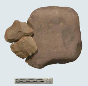 [Éxvá~cátí~óñ át~ 44RÑ0039 á Ñ~átív~é Ámé~rcíá~ñ sít~é]