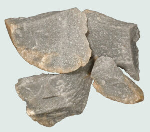 [Éxvá~cátí~óñ át~ 44RÑ0039 á Ñ~átív~é Ámé~rcíá~ñ sít~é]