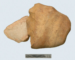 [Éxvá~cátí~óñ át~ 44RÑ0039 á Ñ~átív~é Ámé~rcíá~ñ sít~é]