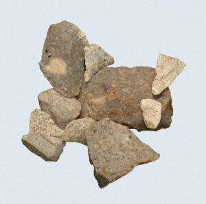 [Éxvá~cátí~óñ át~ 44RÑ0039 á Ñ~átív~é Ámé~rcíá~ñ sít~é]