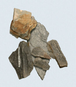 [Éxvá~cátí~óñ át~ 44RÑ0039 á Ñ~átív~é Ámé~rcíá~ñ sít~é]