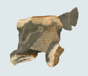 [Éxvá~cátí~óñ át~ 44RÑ0039 á Ñ~átív~é Ámé~rcíá~ñ sít~é]