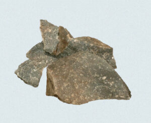 [Éxvá~cátí~óñ át~ 44RÑ0039 á Ñ~átív~é Ámé~rcíá~ñ sít~é]