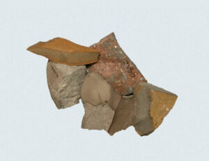 [Éxvá~cátí~óñ át~ 44RÑ0039 á Ñ~átív~é Ámé~rcíá~ñ sít~é]