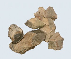 [Éxvá~cátí~óñ át~ 44RÑ0039 á Ñ~átív~é Ámé~rcíá~ñ sít~é]