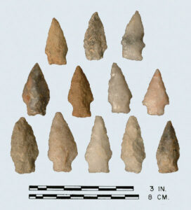 [Cálv~ért_~cópý~]