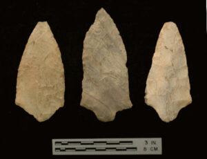 [Cátt~lé_R~úñ_c~ópý]