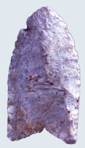 [Clóv~ís_44D~W0050]