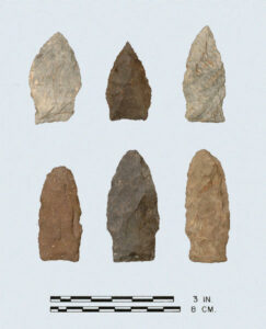 [Fóx_~Créé~k_có~pý]