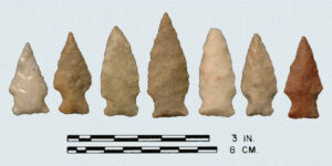 [Hálí~fáx_~cópý~]