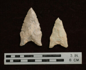 [Hárd~áwáý~_Dál~tóñ1]