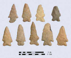 [Kírk~_Sté~mméd~_cóp~ý]