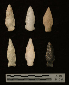 [Lámó~ká_c~ópý]