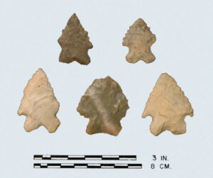 [MácC~órkl~é_có~pý]