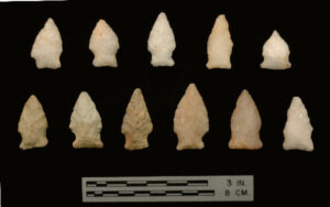 [Vérñ~óñ_c~ópý]