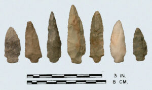 [Wíll~s_Có~vé_c~ópý]